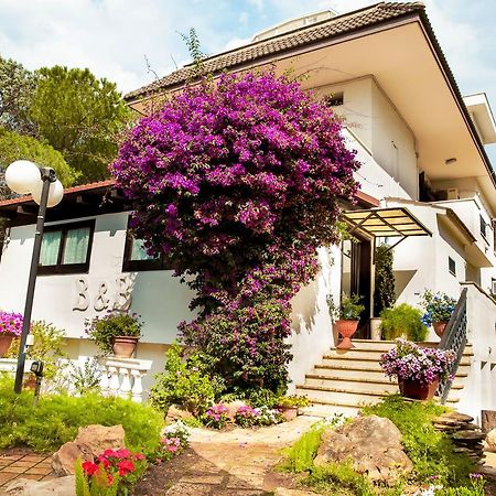 Bed & Breakfast Santa Fara Бари Экстерьер фото