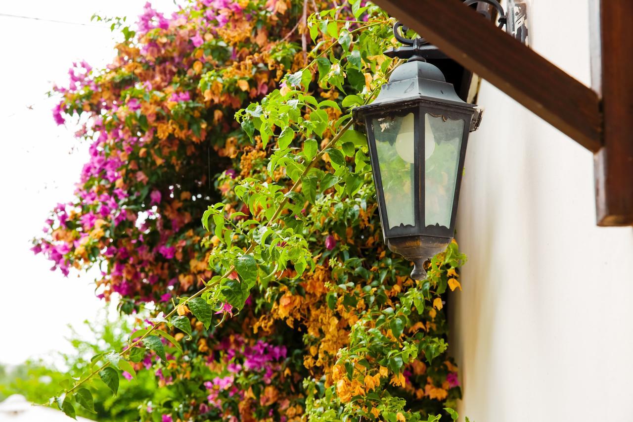 Bed & Breakfast Santa Fara Бари Экстерьер фото